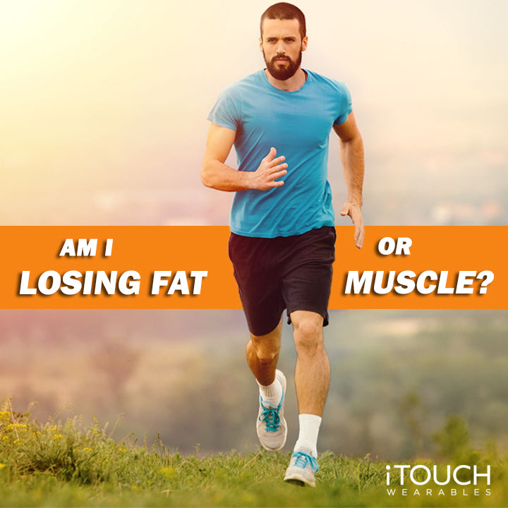 Am I Losing Fat or Muscle?