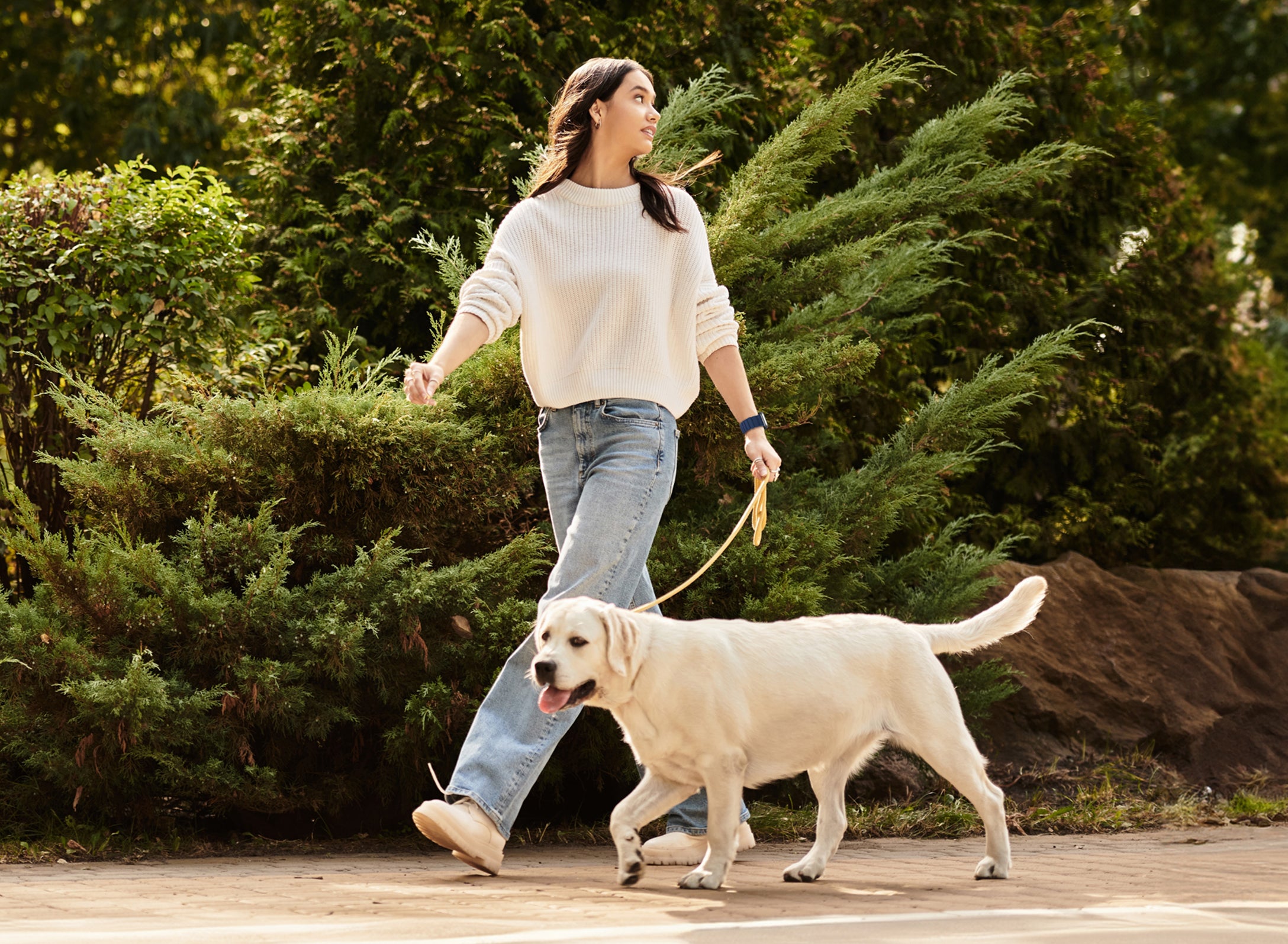 Woman walking a dog on a leash in a park-like setting